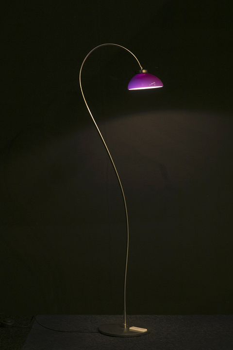 Merchandiser duidelijkheid Verschuiving Staande lamp cobra - Kunst & Licht